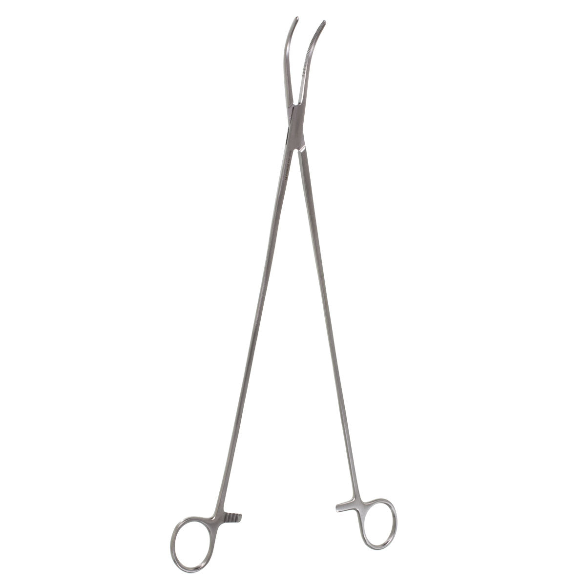Curved Adson Artery Forceps (14", 35.5 cm)