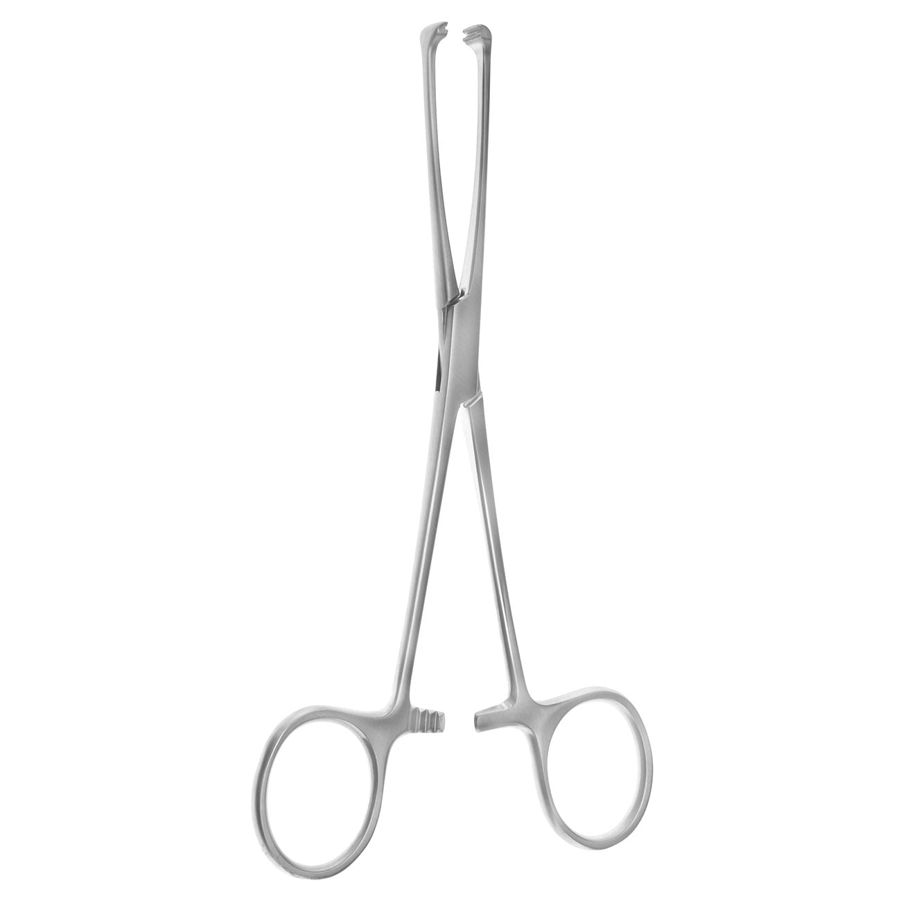 Allis Atraumatic Tissue Forceps