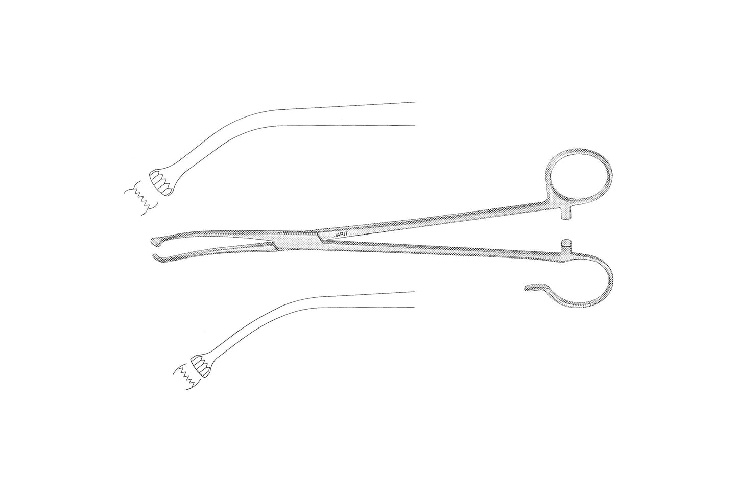 White tonsil seizing forceps 18cm with fenestrated toothed jaws