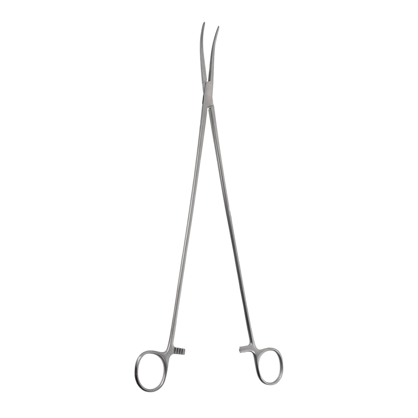 Zenker Forceps