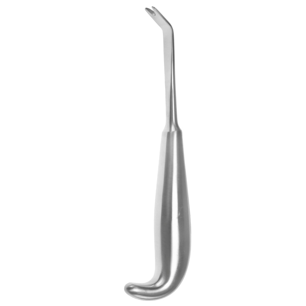 Stripper for the Anterior Border 7 1/2