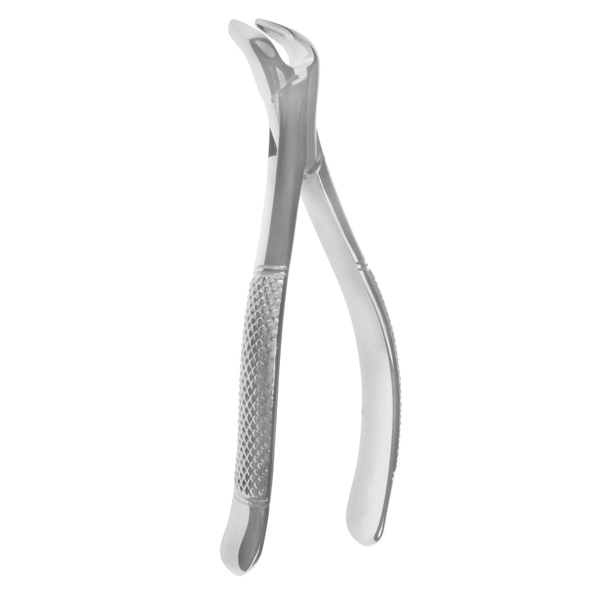 Lower Anterior Molar Forceps