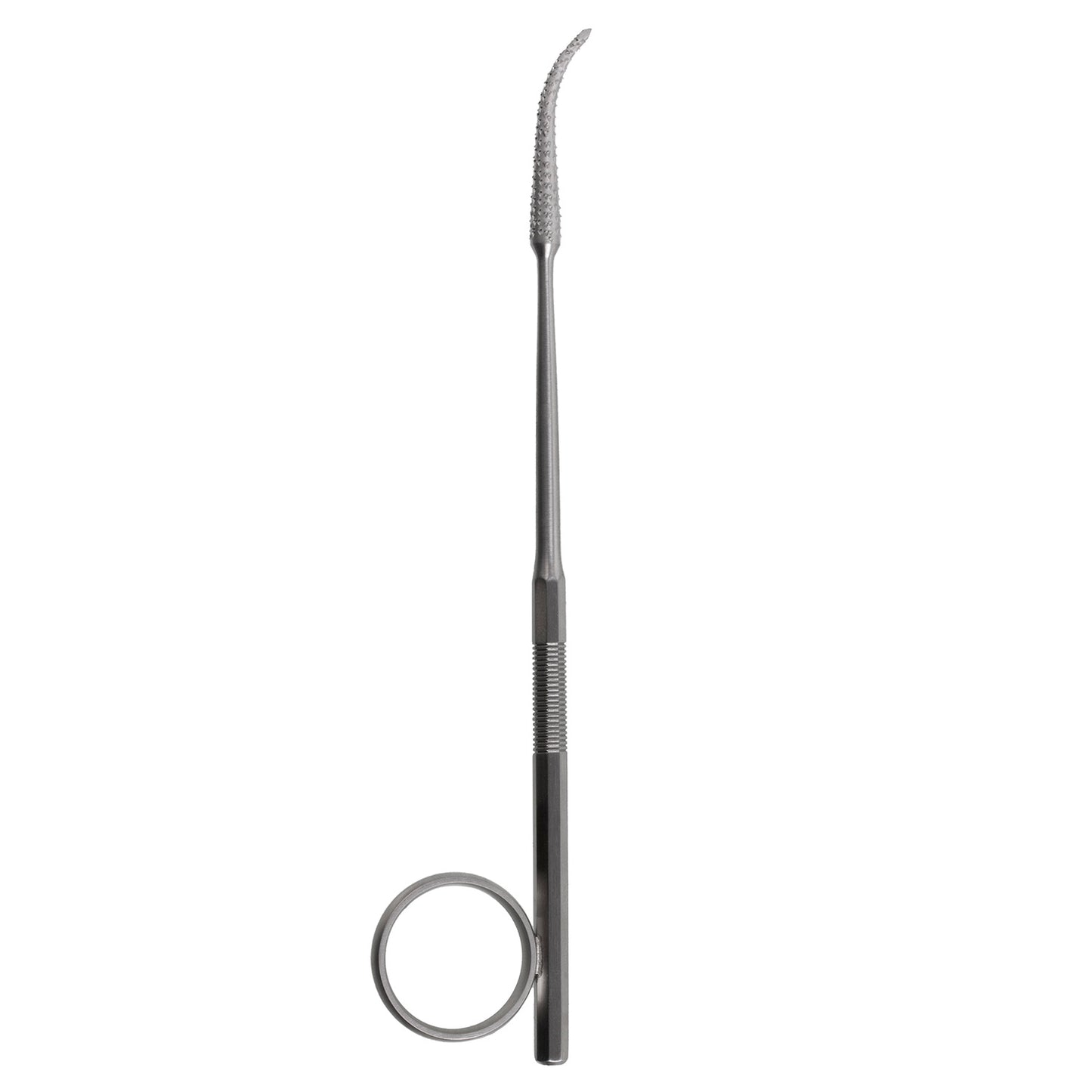 Good Antrum Rasp – 165mm (6 1/2 inch)