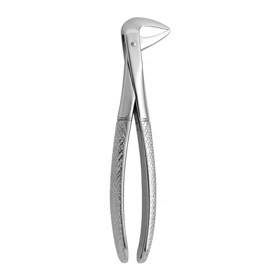 Lower Anterior Oral Molar Forceps