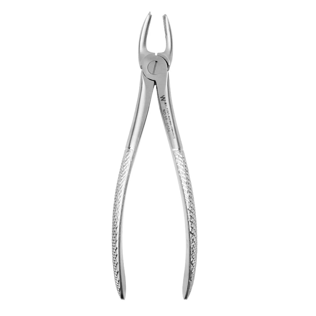 Molar forceps (Anterior Region)