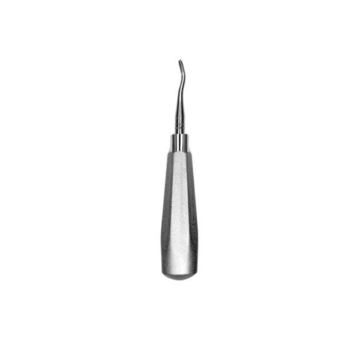 Oral Elevator Right Serrated
