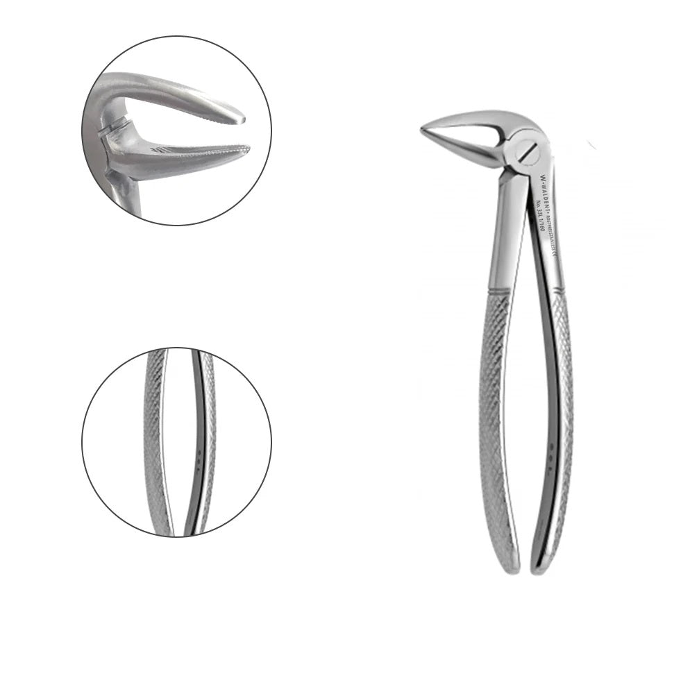 Lower Root Extracting Forceps