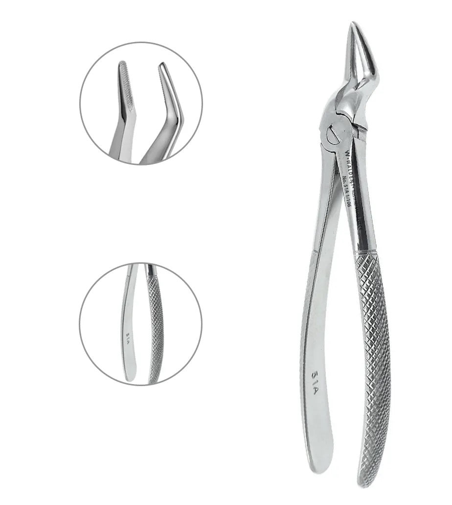 Upper Root Extracting Forceps