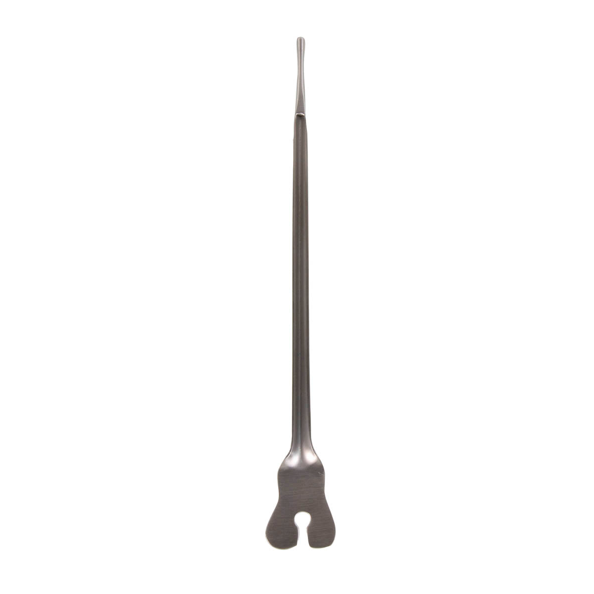 5 1/2" Intimate Director, Examine Point
