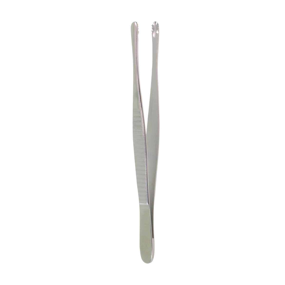 Russian Tissue Forceps, Size 6