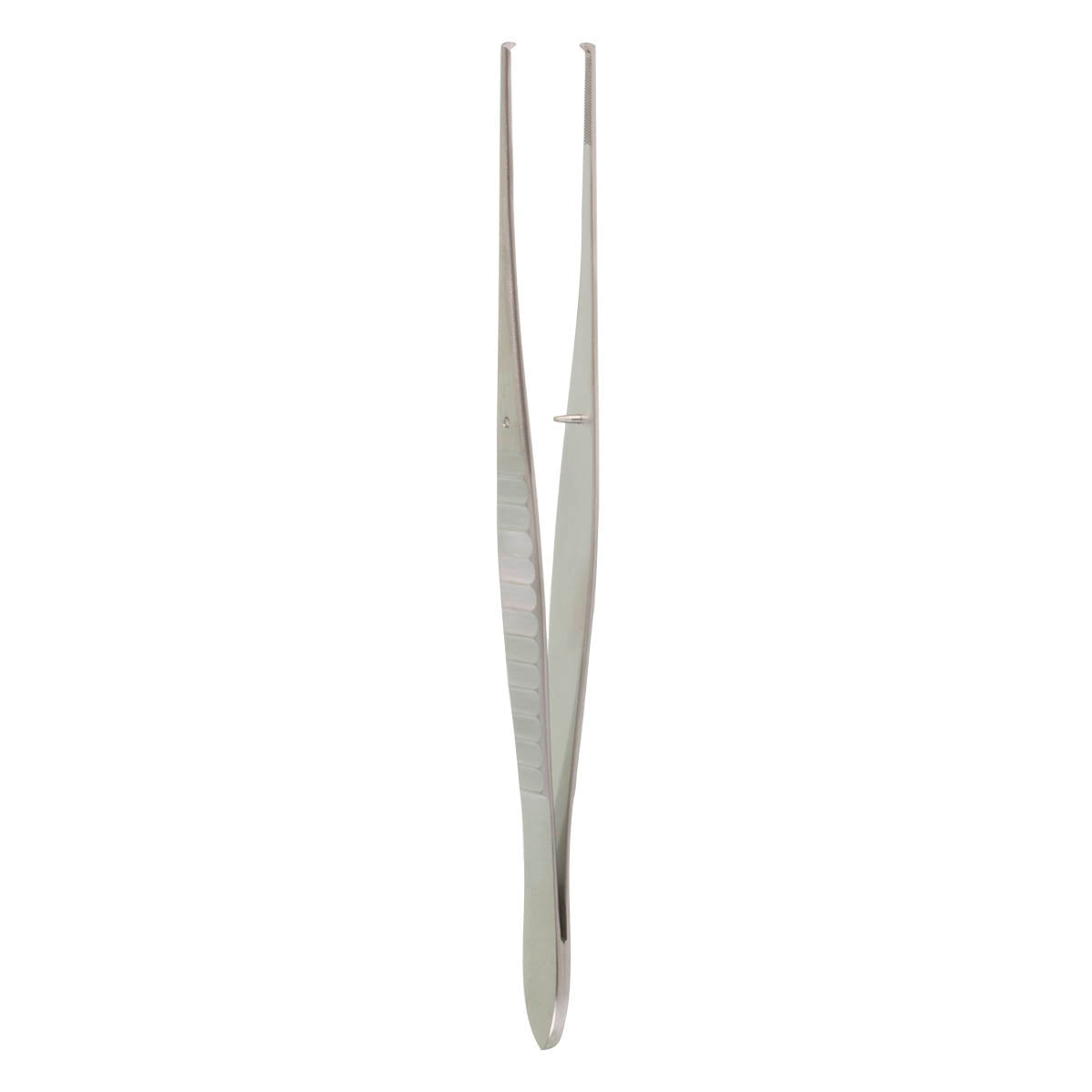 6" Gilles Tissue Forceps, 1 x 2 Teeth