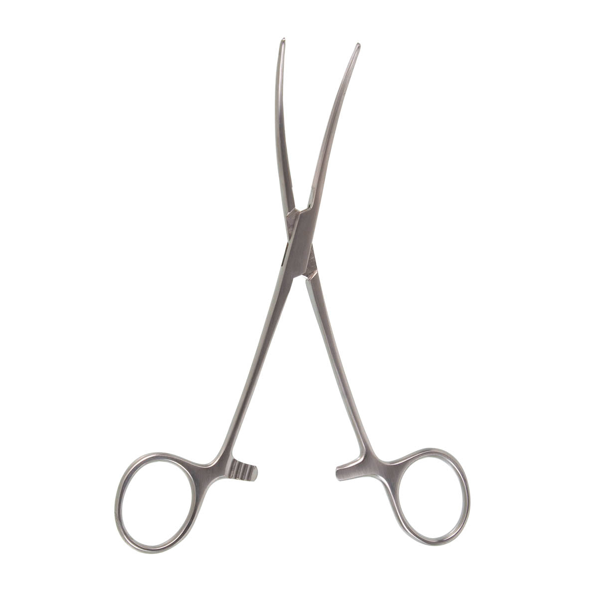 Bainbridge Artery Forceps, Standard