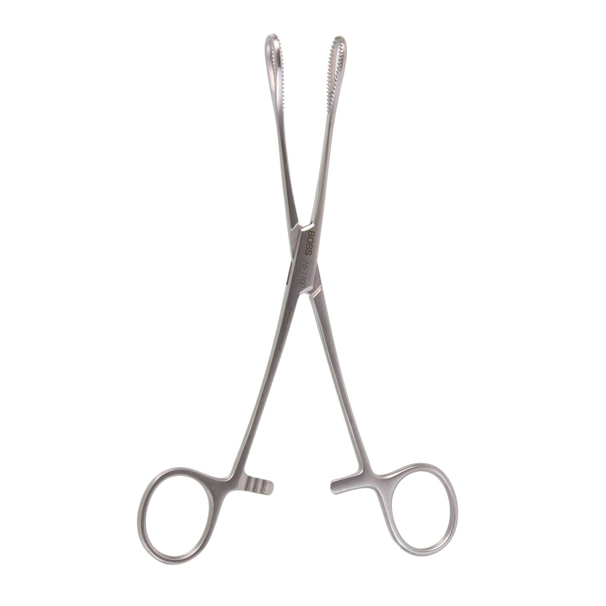 Foerster Sponge Forceps, Straight, Serrated Jaws