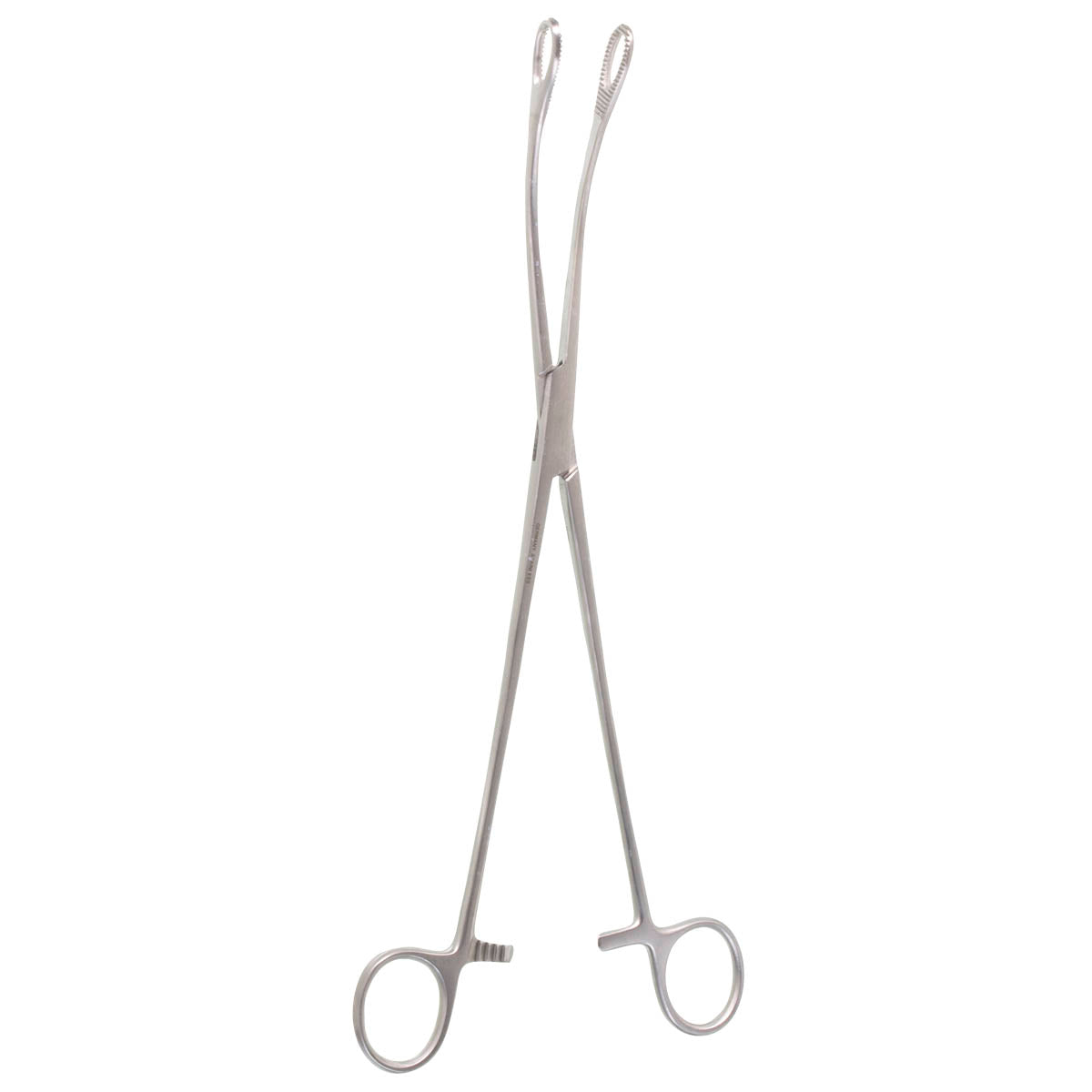 Curved Forester Sponge Forceps