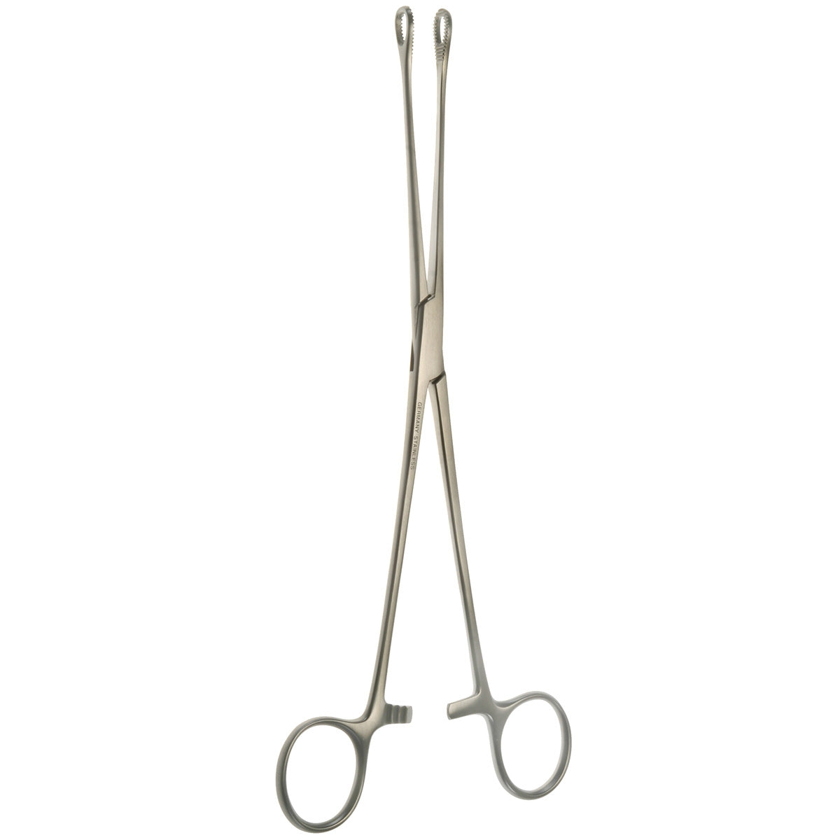 9 1/2" Bergman-Foerster Sponge Forceps, Straight
