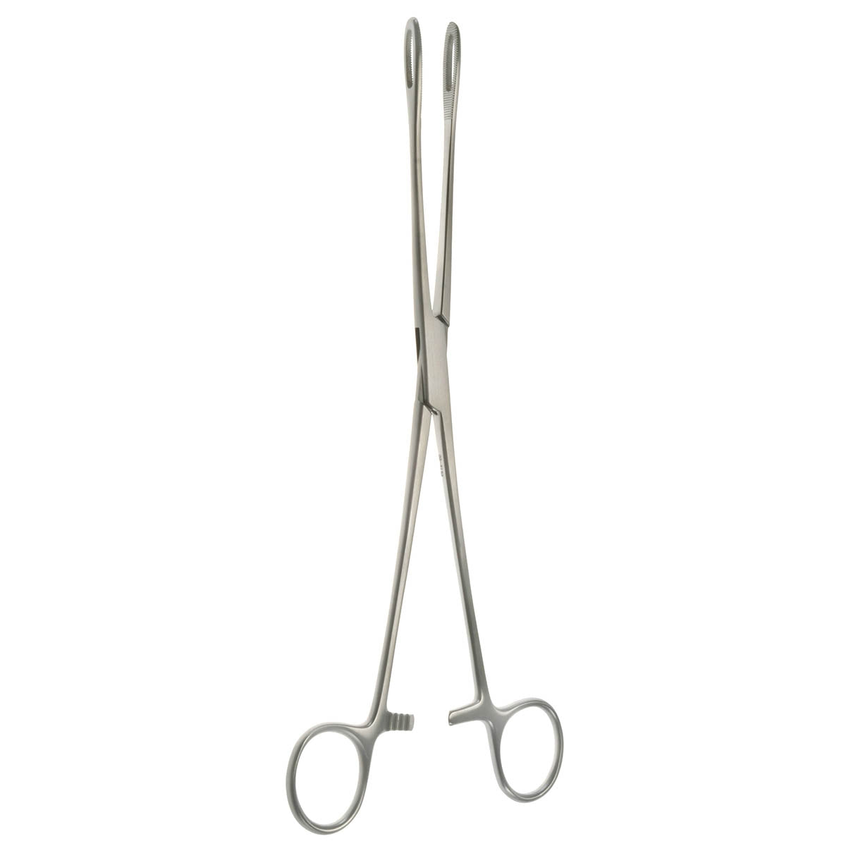 9 1/2" Fletcher Forceps, Straight