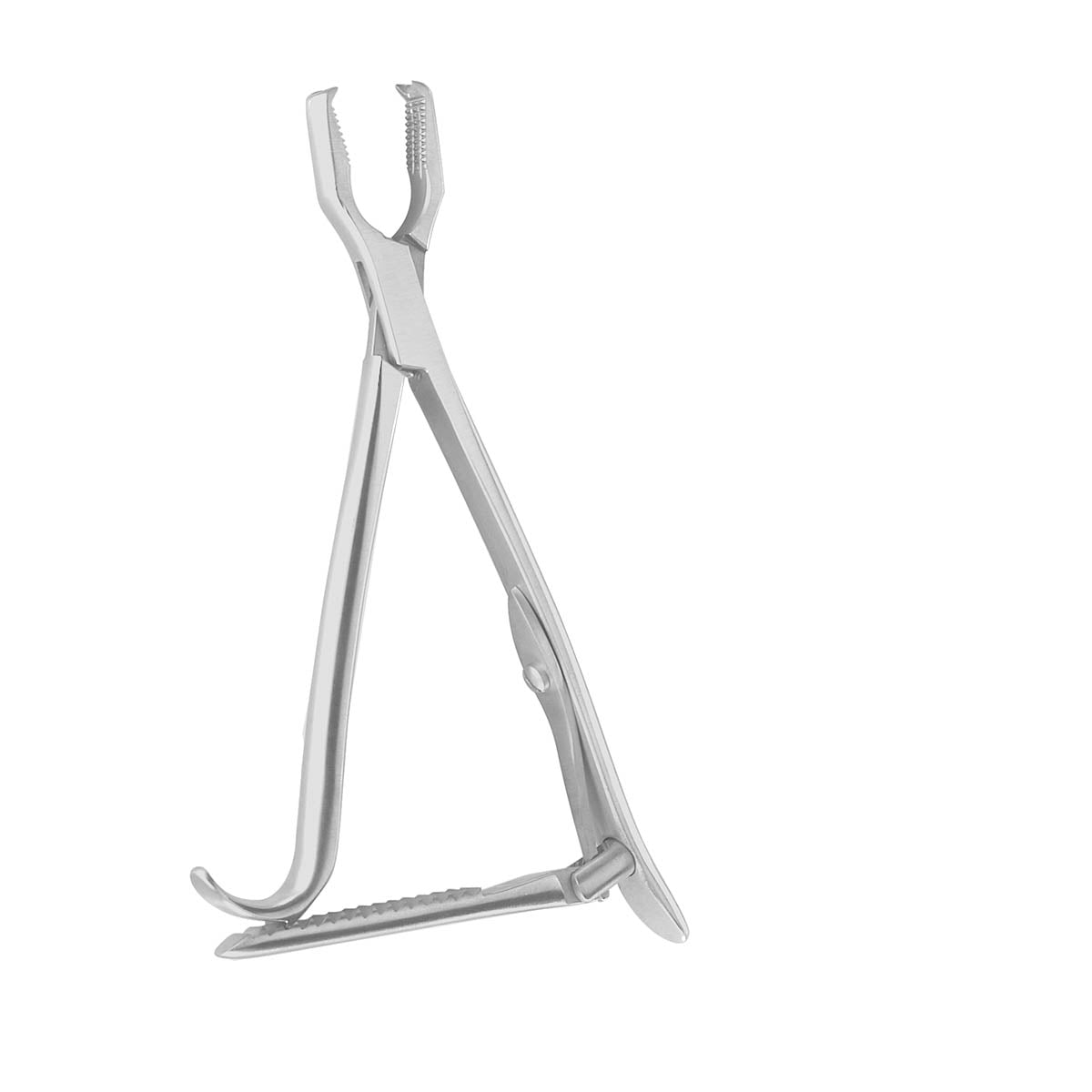 5 3/4" Kern Bonet