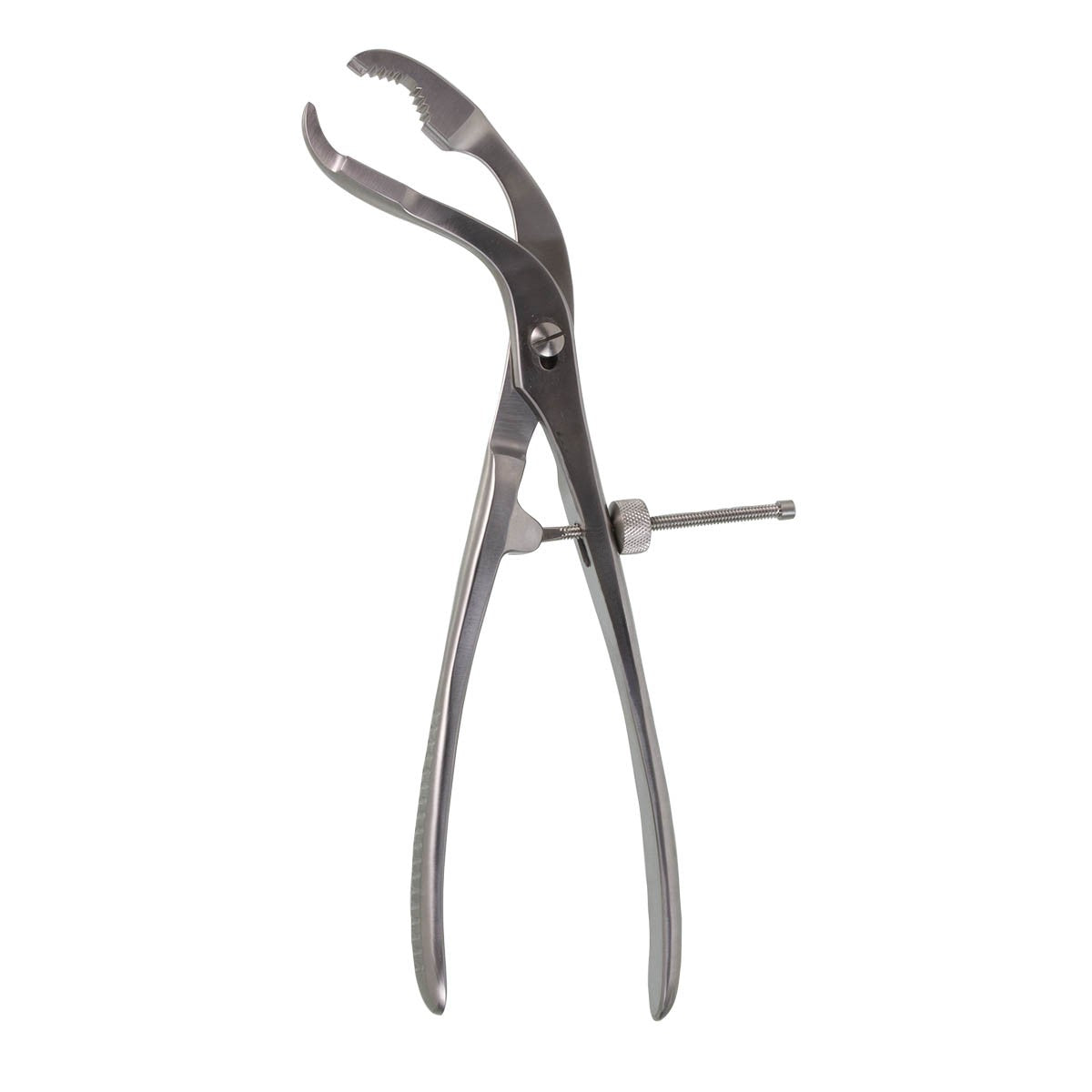 Verbrugge Bone Holding Forceps