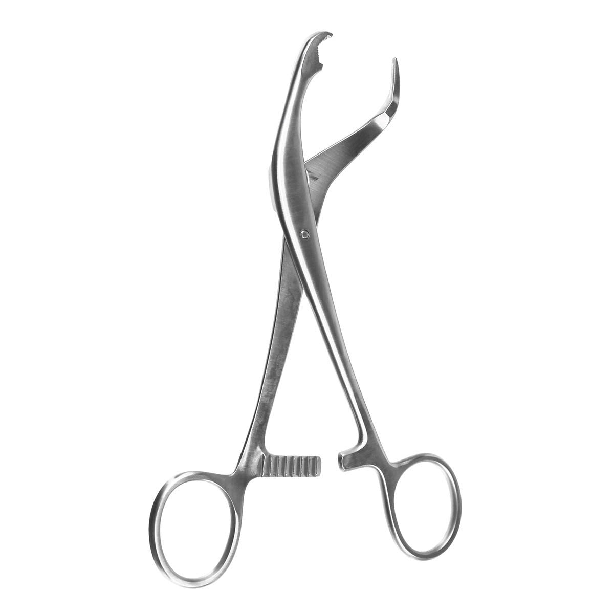 6 3/4" Verbrugge Bone Holding Forceps Short Ratchet