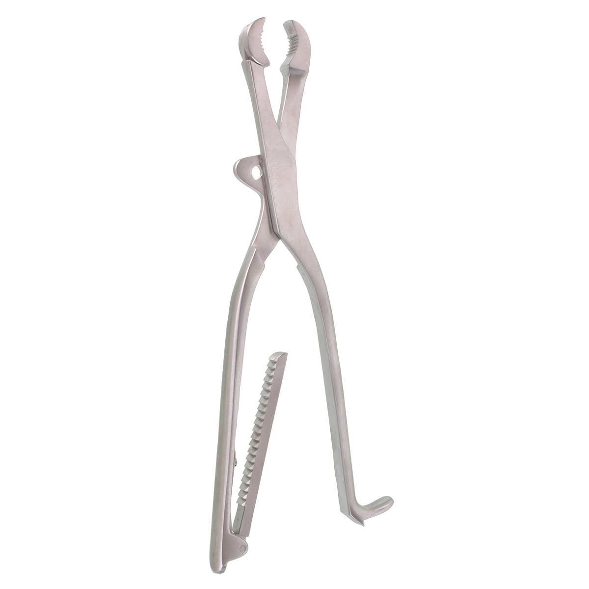 Lambotte Bone Holding Forceps swivel head
