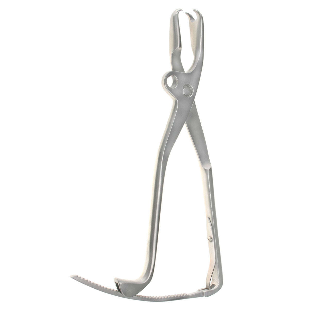 Bishop Bone Holding Forceps