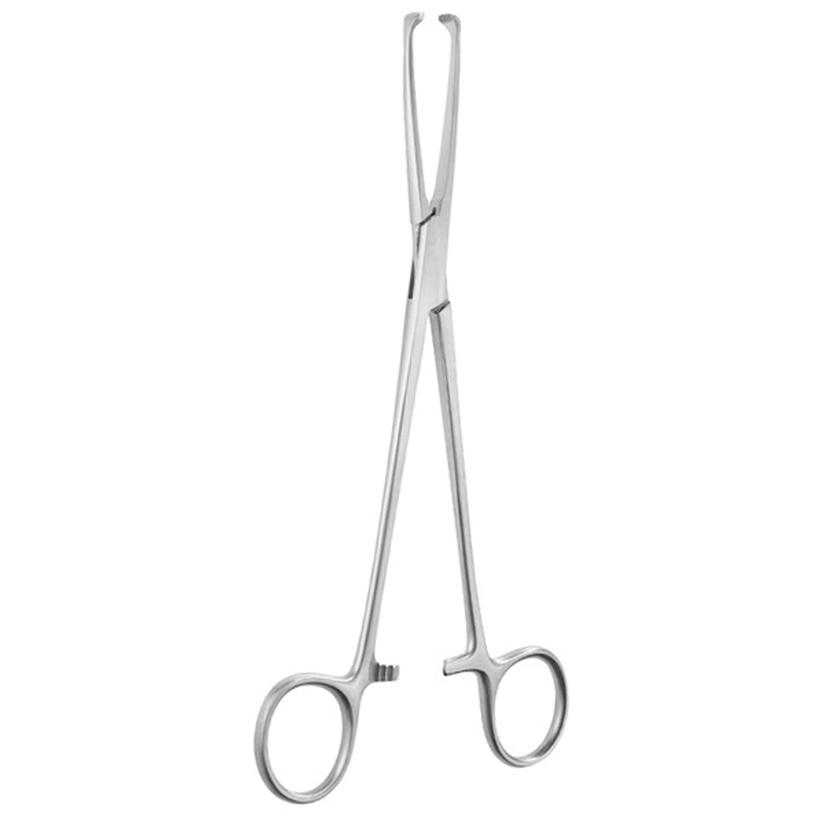 7 1/2" Allis Tissue Forceps with Teeth
