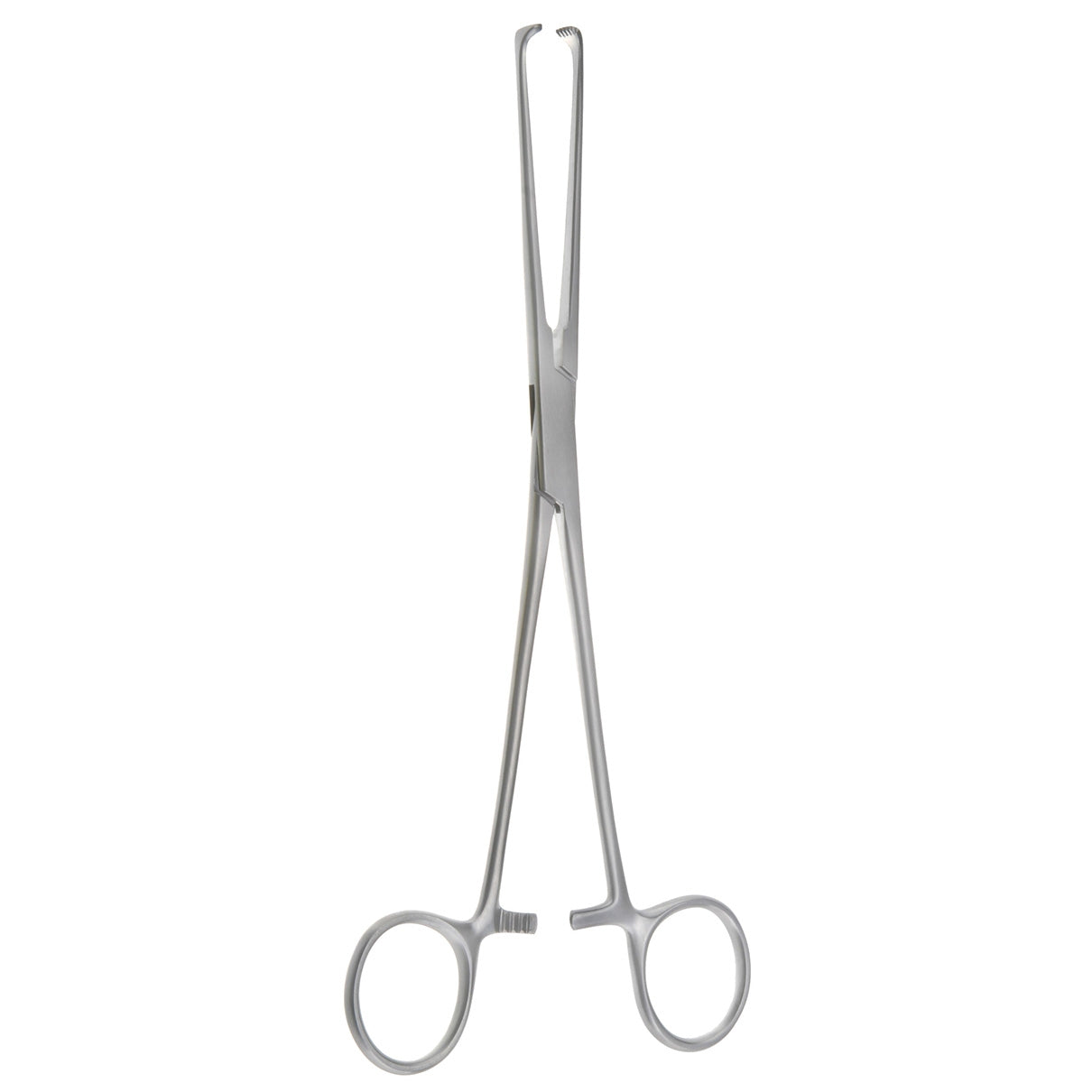 A pair of Allison tissue forceps with teeth, made of stainless steel, typically used in surgical procedures for handling delicate tissues.