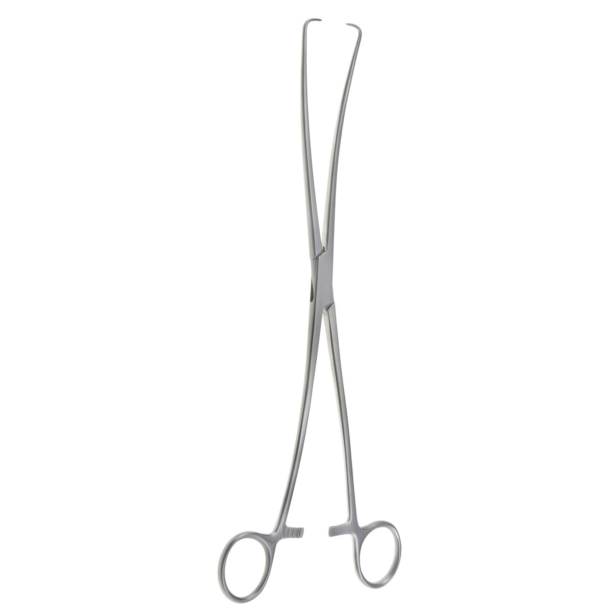 Duplay Tenaculum Forceps