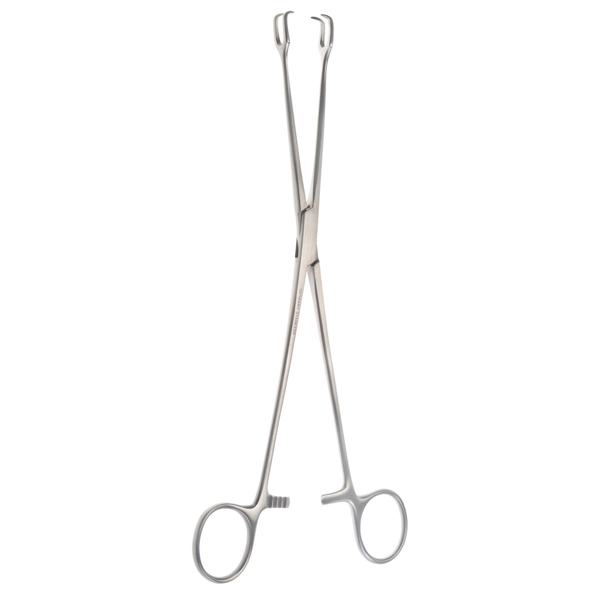 Two (2) lines of Schreoder Vulsellum Forceps,