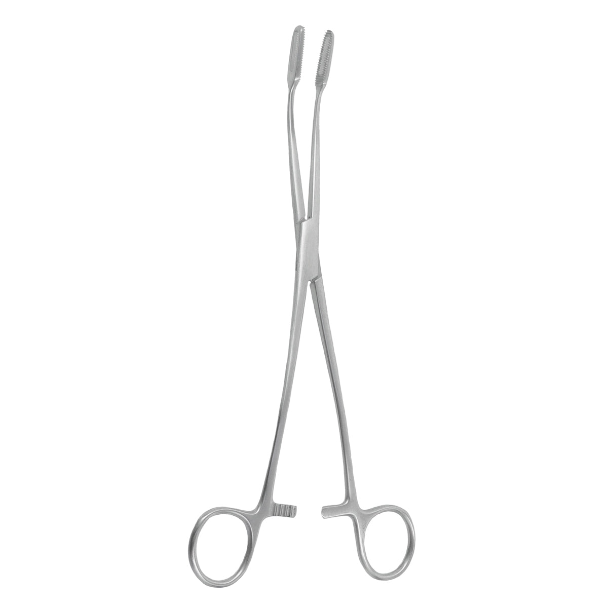 S-shaped Fletcher-Javerts Sponge Forceps