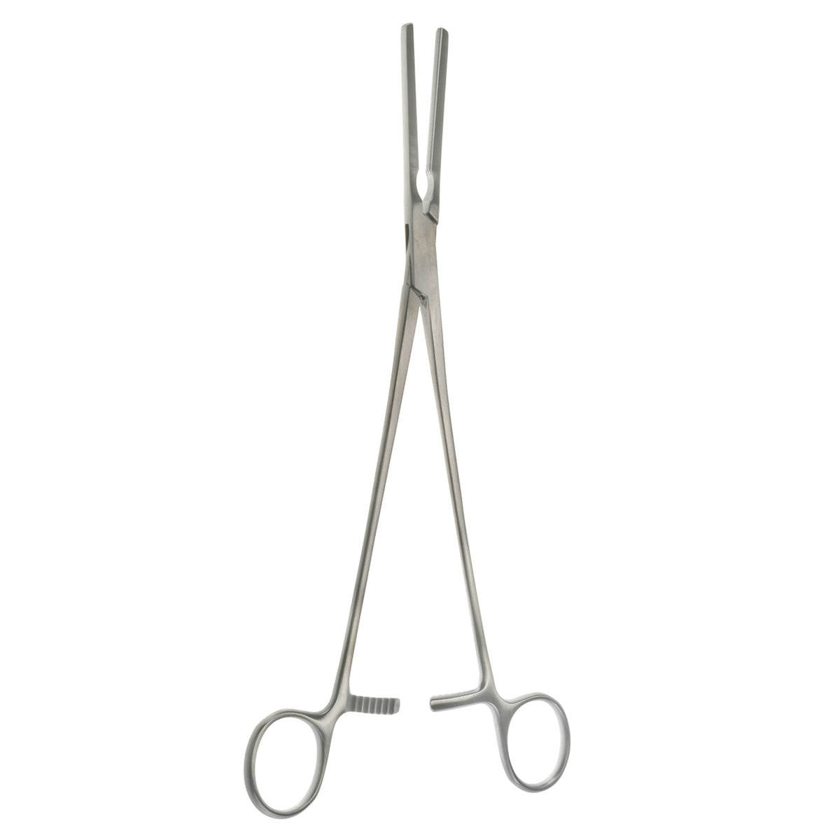 Straight 10 1/2 Pelvic Clamps
