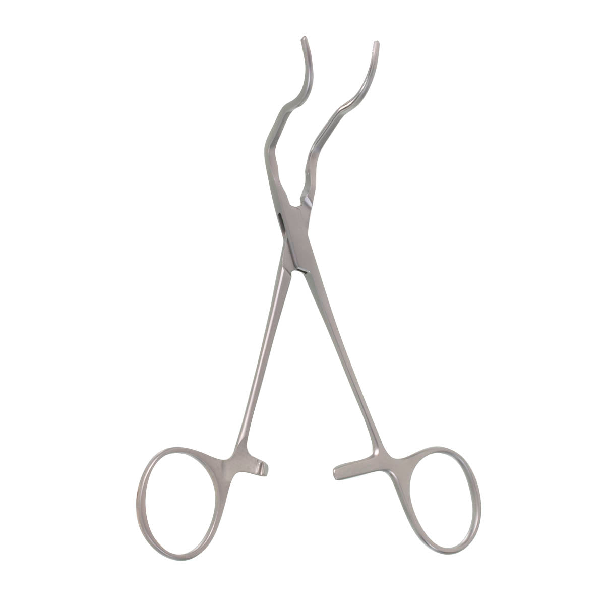 5 1/4" Gregory Profunda Clamp