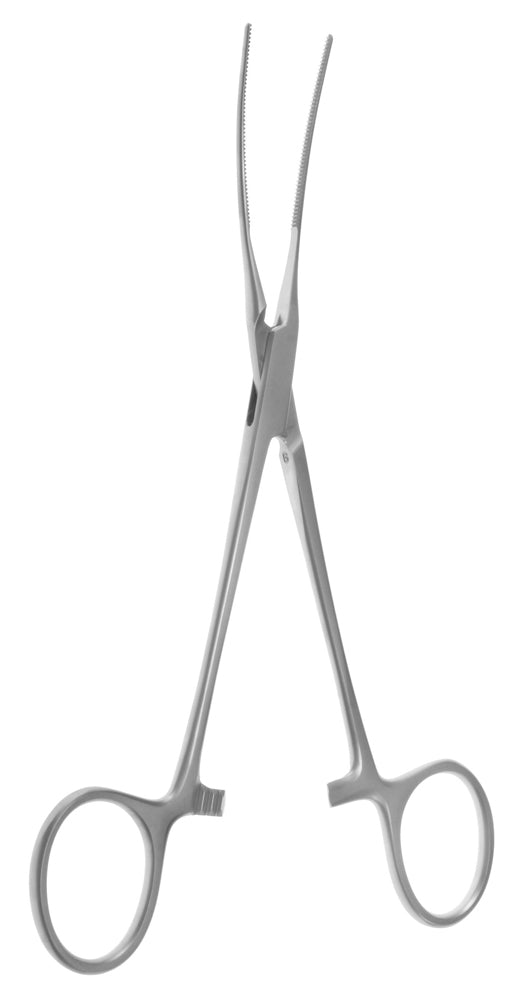 6" Plaque Remover small, soft curve