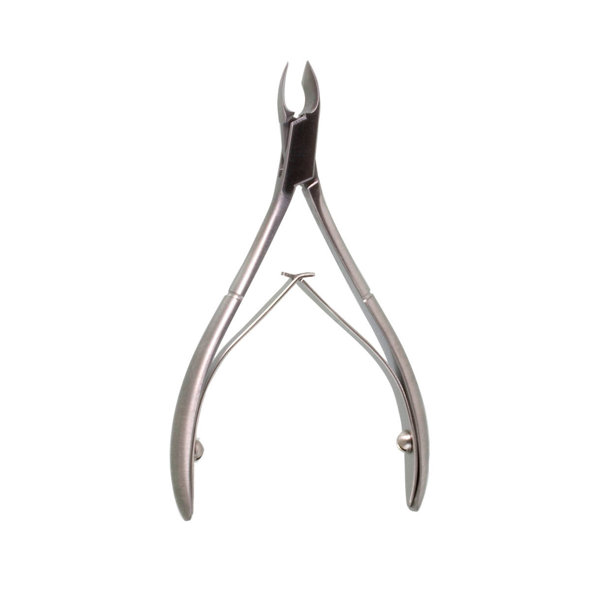 4" Tissue Nipper Stainless 6mm