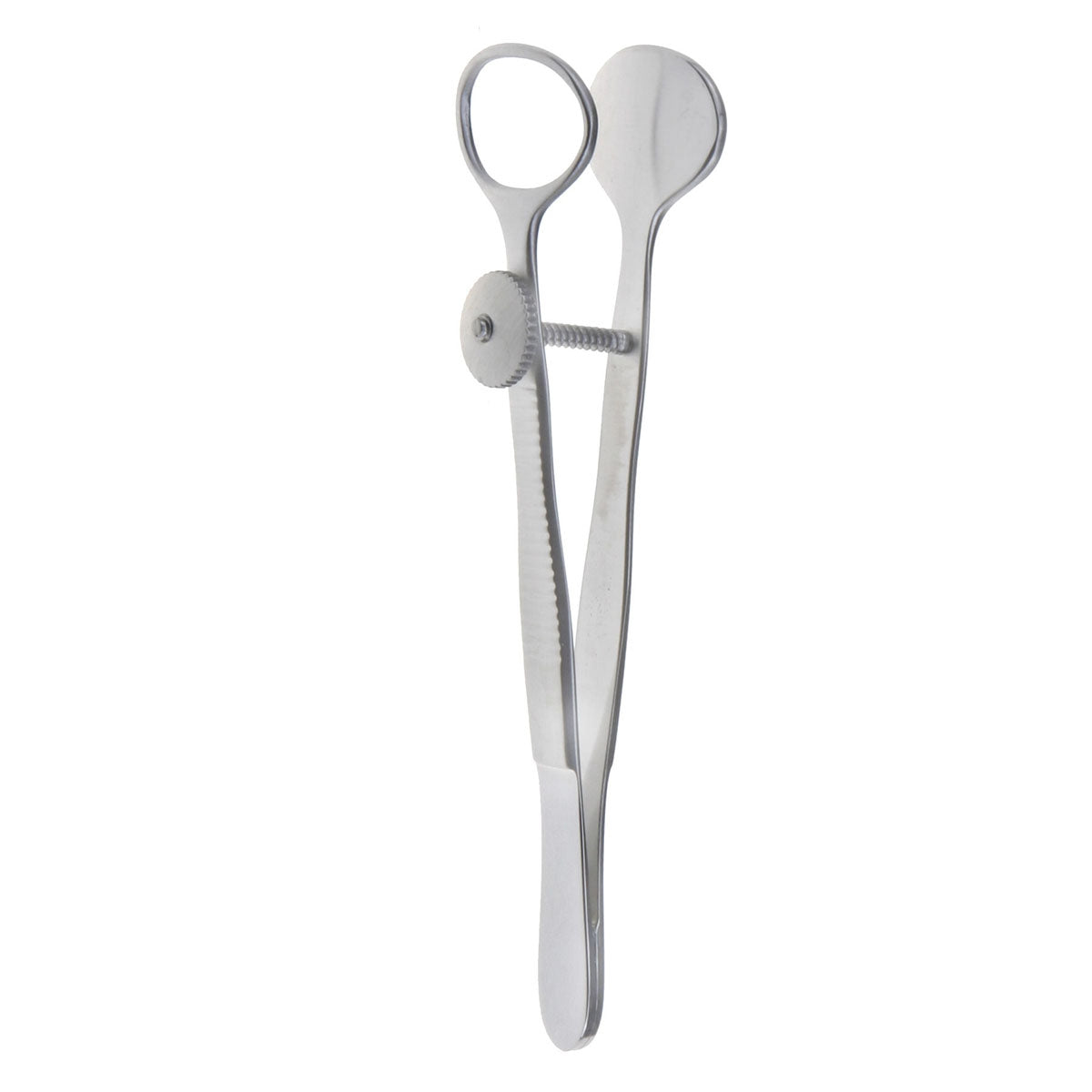 Desmarres Chalazion Forceps sm