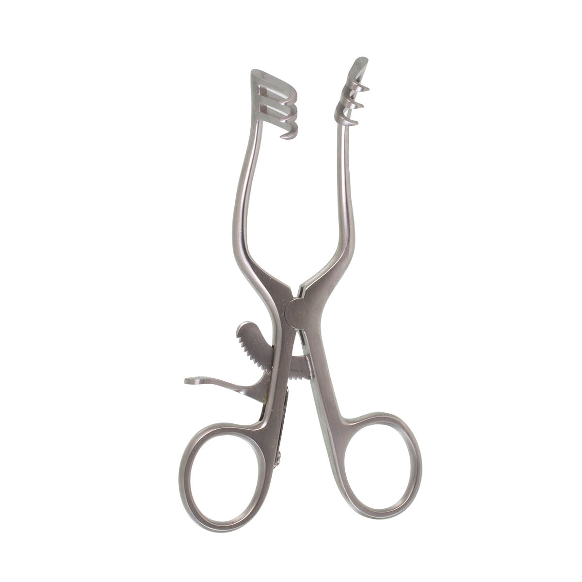 Wullstein Weitlaner Retractor Semi-Sharp Prongs