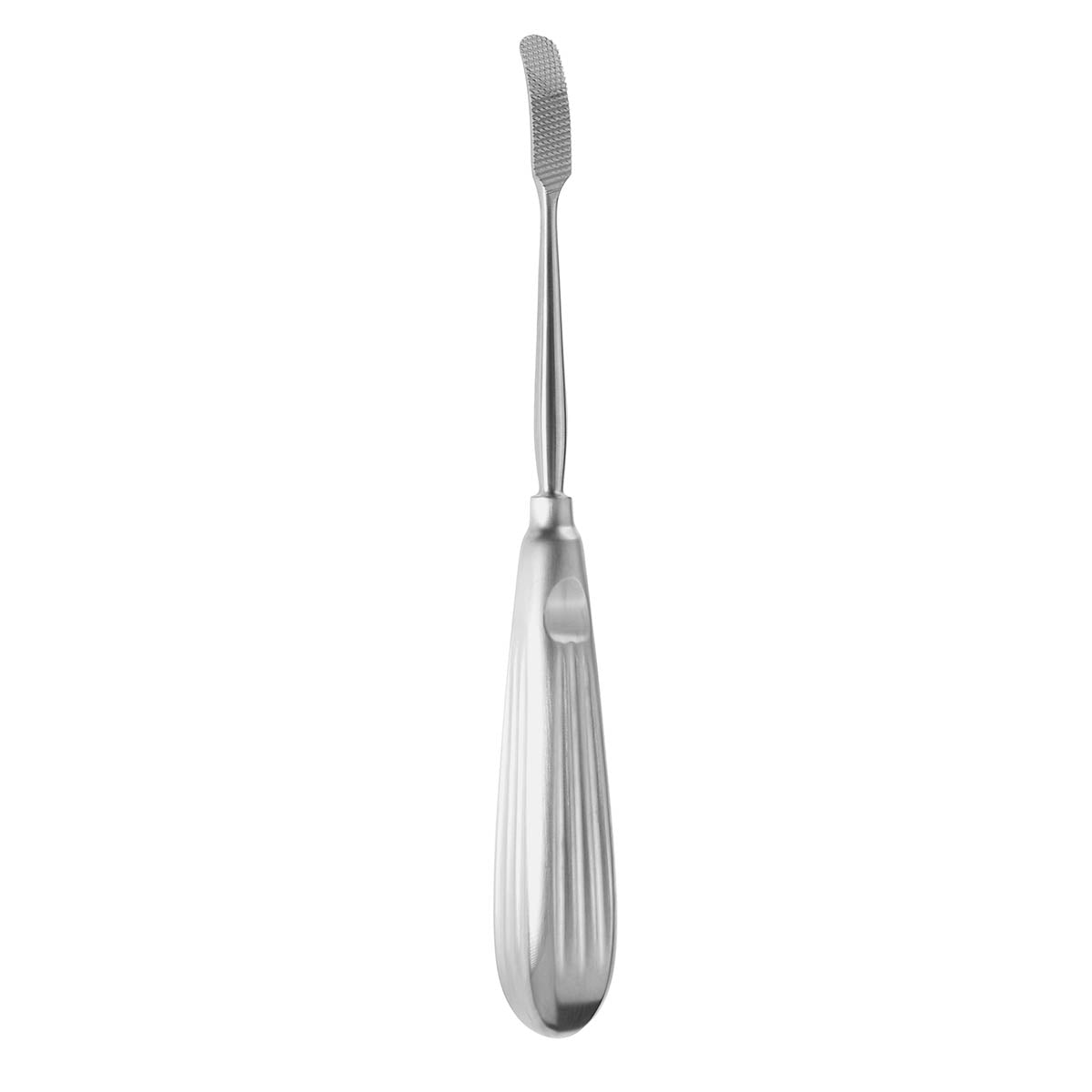 Aufricht Glabella Rasp – 205mm Curved Backward