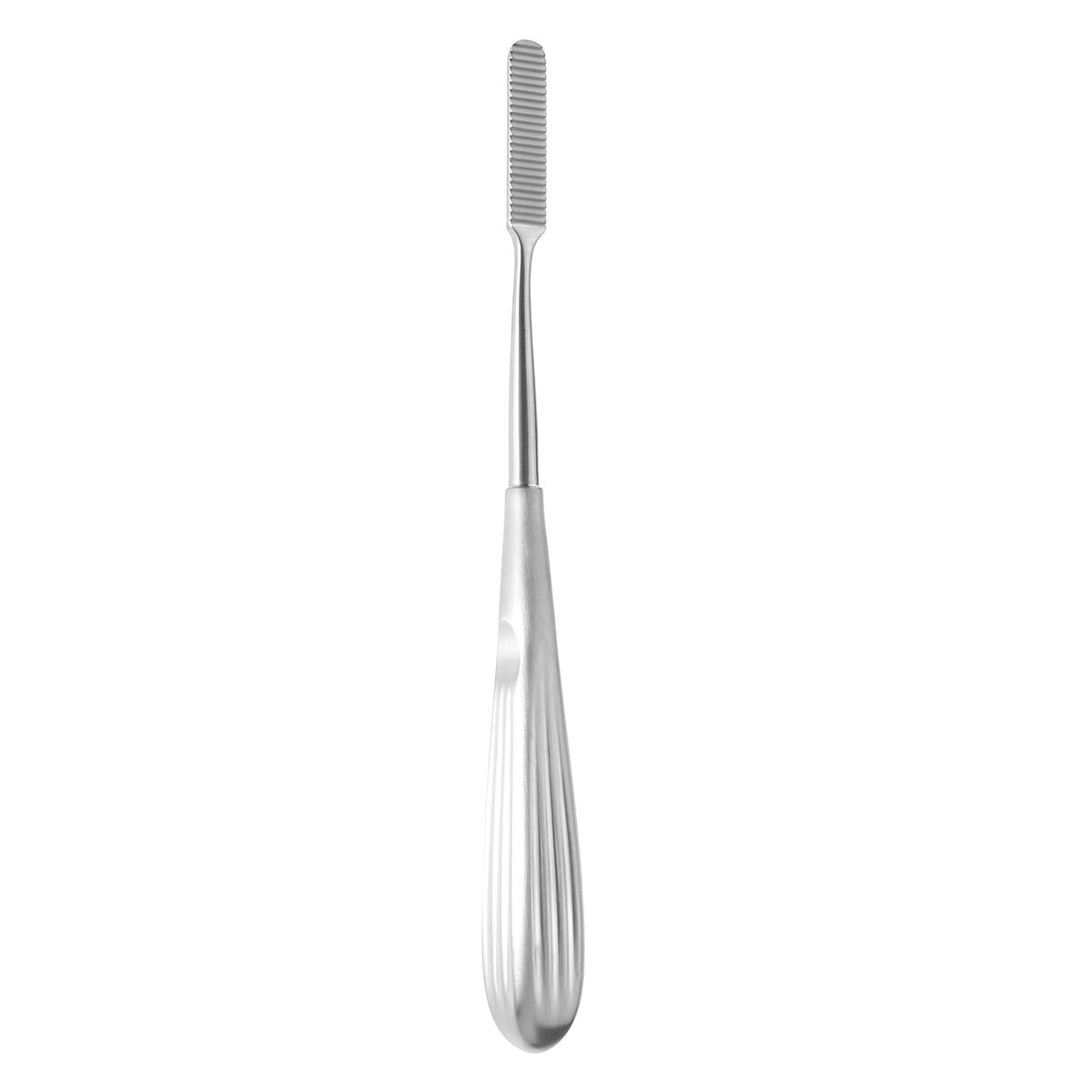 8 3/16" Cottle Rasp Straight, Downcut, 24 Teeth