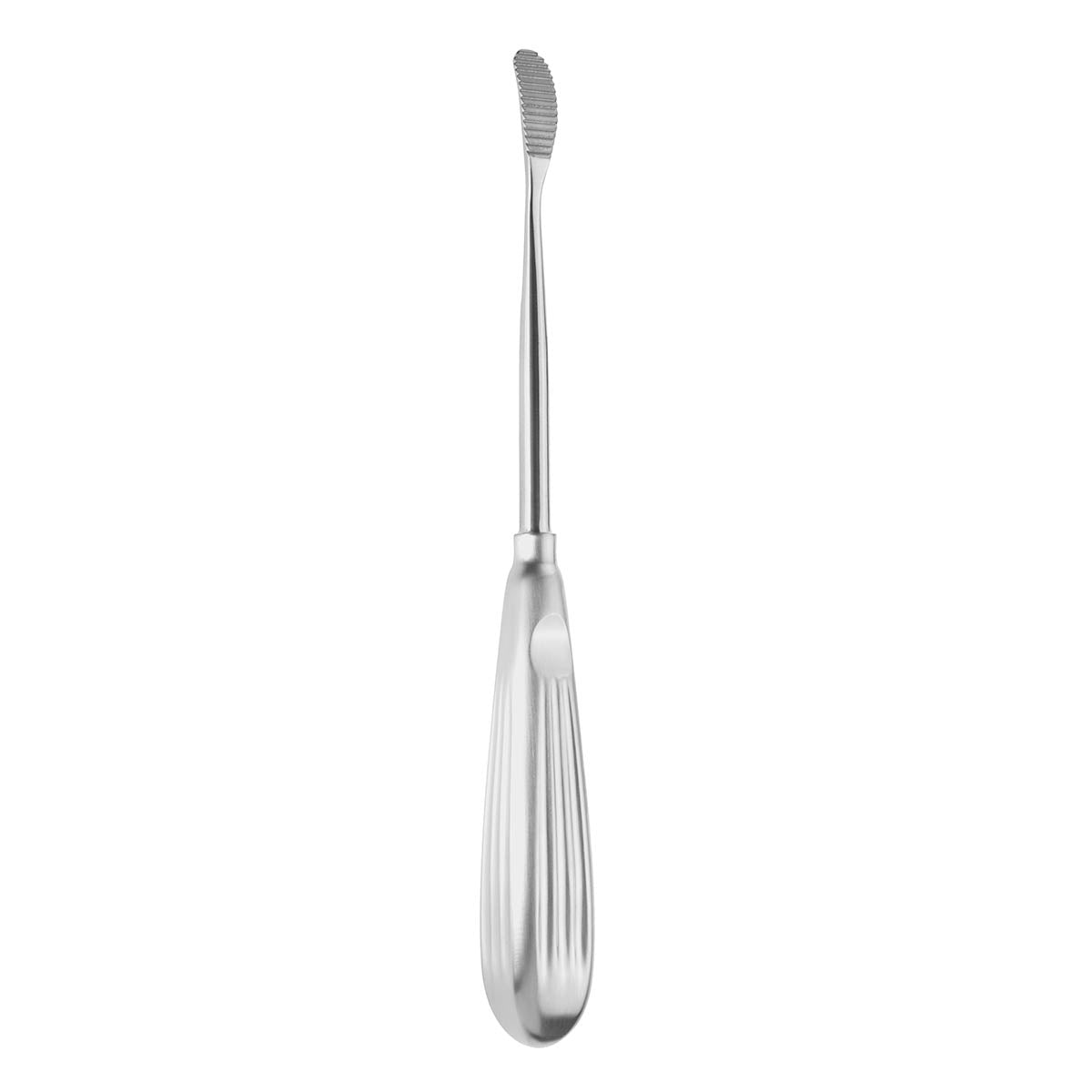 8 1/2" Aufricht Rasp Curved, Downstroke