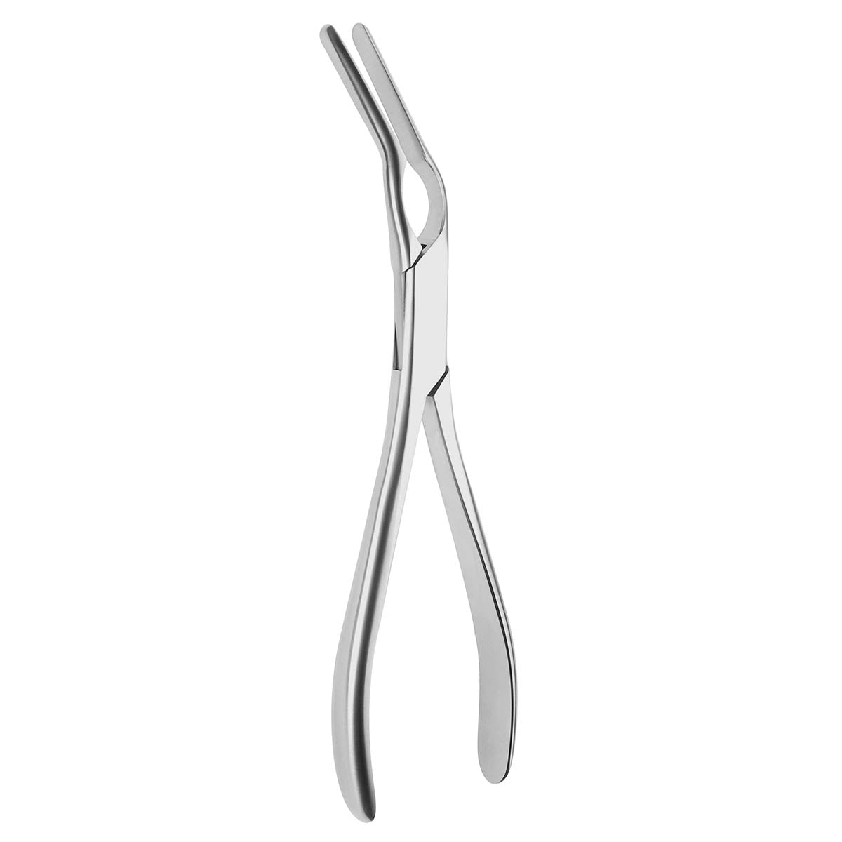 Asch Septum Straightening Forceps Heavy Pattern