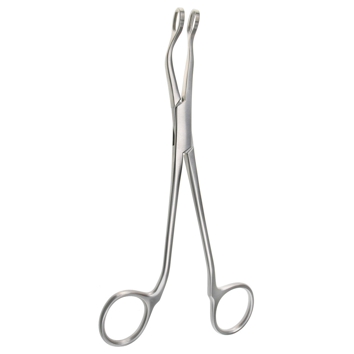 St. Claire Thompson Adenoid Forceps – 7 1/4"