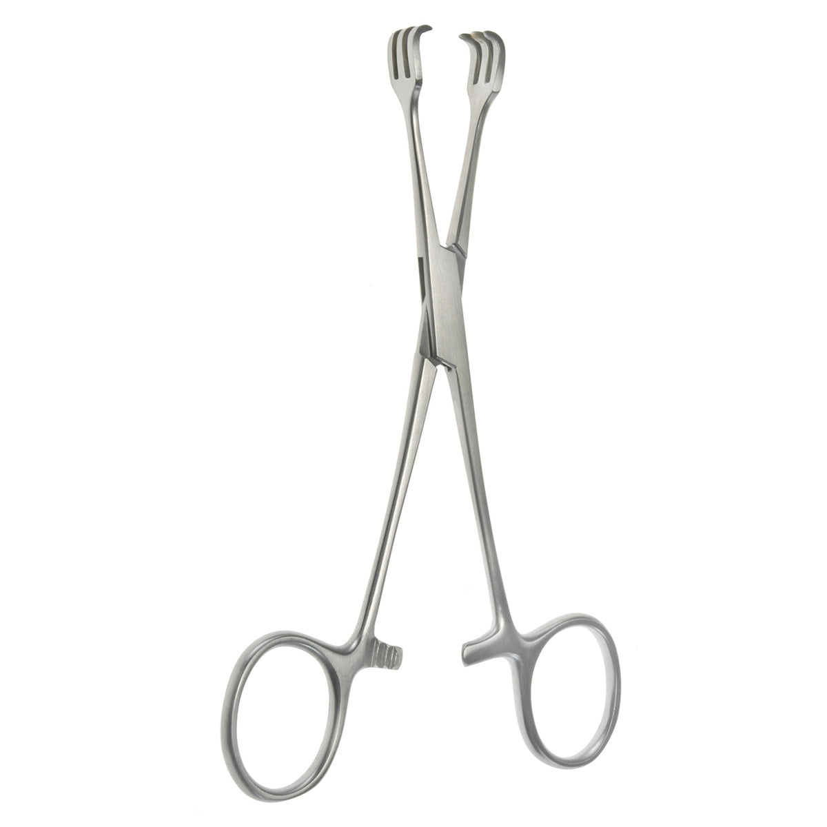 Lahey Traction Forceps (Triple Hook) – Prong