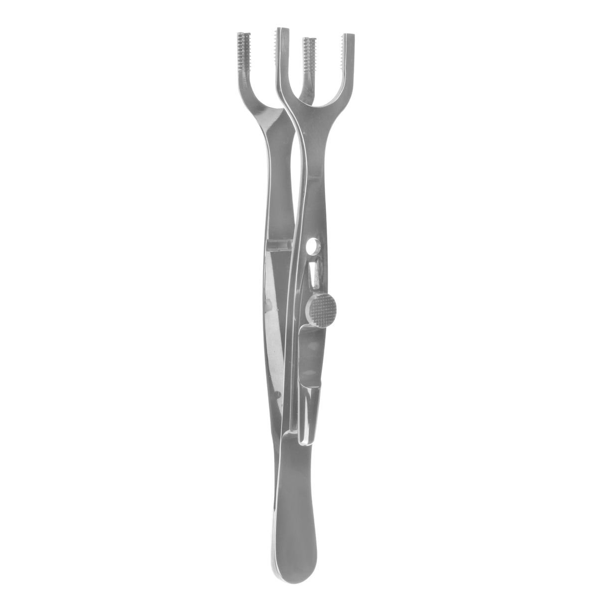 Price Muscle Biopsy Clamp with Double Prong Ends (15mm Broad)