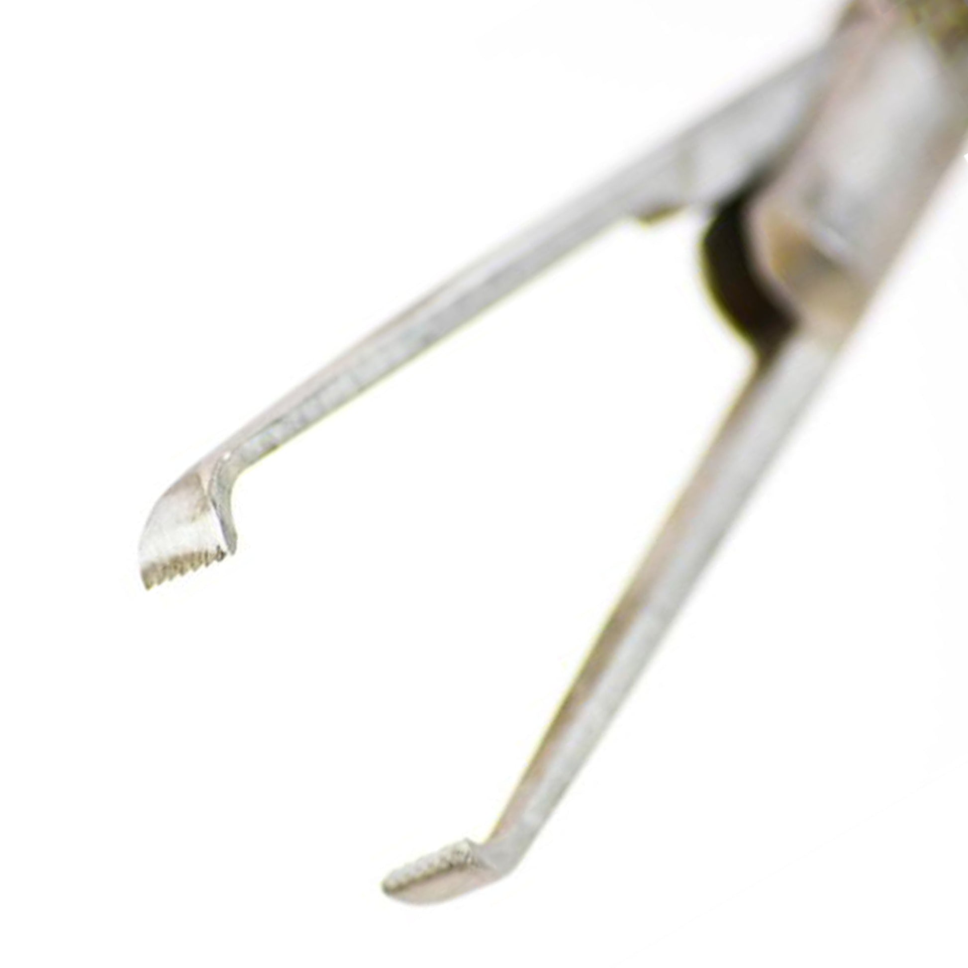 Cabot Medical Nanticoke Allis