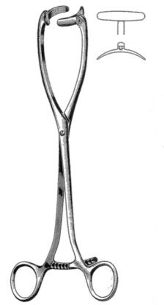 10 1/4" Collin Uterine Forceps with Straight Swivel Jaws