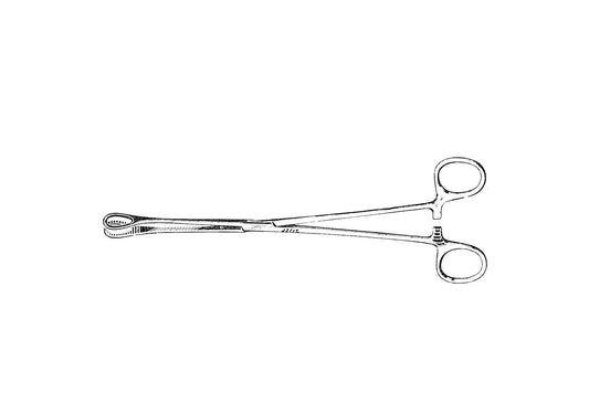 Foerster straight serrated sponge forceps 30cm