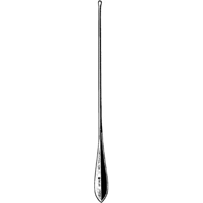 Myrtle leaf probe with flat leaf-shaped tip
