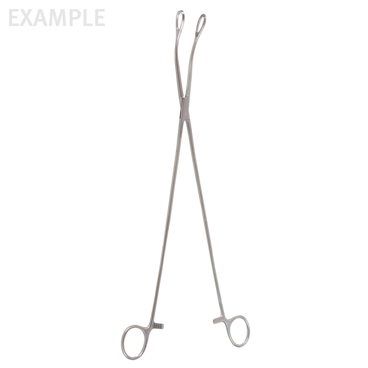 The Forester Sponge Forceps, 18" (min 3) are curved.