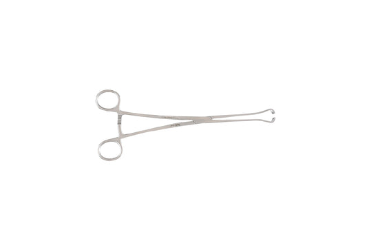 Babcock forceps 14cm 5.5 inch 6mm delicate jaw