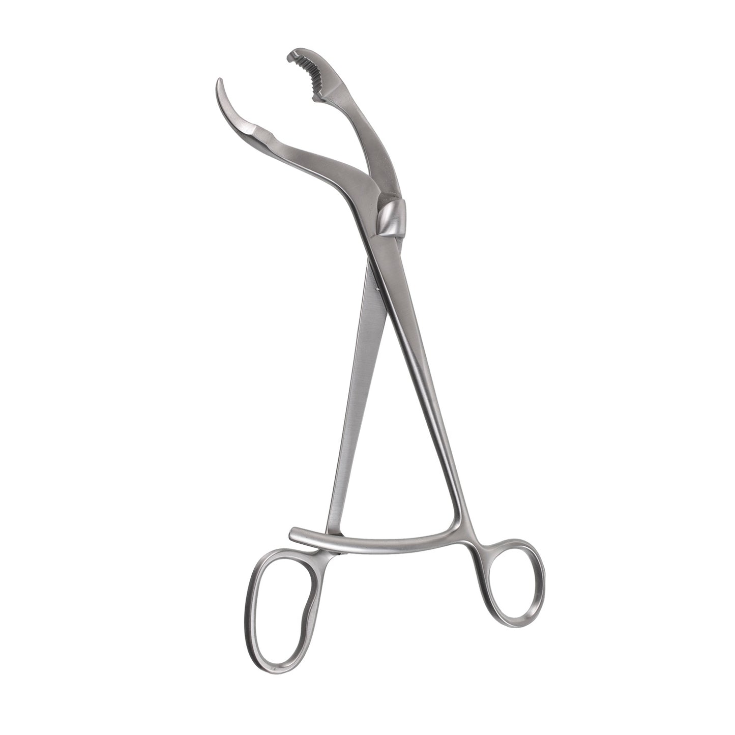 Verbrugge Bone Holding Forceps Long Ratchet